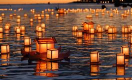 1971年属猪的是什么命