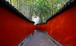 梦到自己流了好多血