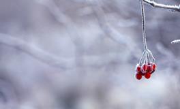 梦到别人七窍流血