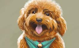 十二生肖狗的故事