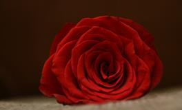 梦到自己头顶流血