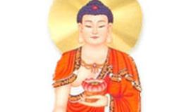 生肖猪的守护神，属猪人的本命佛是谁