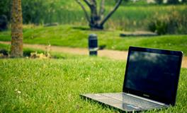 梦见老鼠成群怎么回事