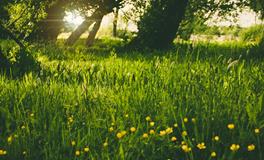 梦见小老鼠爬到身上代表什么