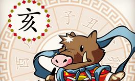 属猪白羊座的O型血性格特征