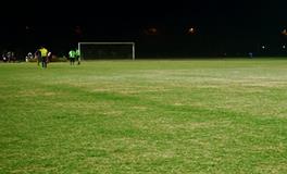 梦见被老鼠咬手指