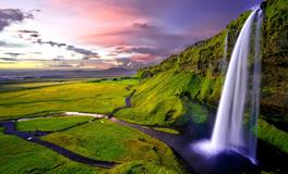 梦见白色老鼠是什么意思