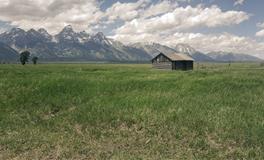 孕妇同时梦到老鼠和蛇