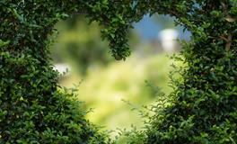 孕妇梦到大黑老鼠