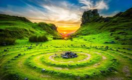 孕妇梦到刚出生的老鼠