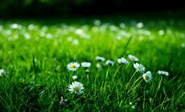 梦到棺材和死人出殡