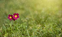 女人梦到好多棺材