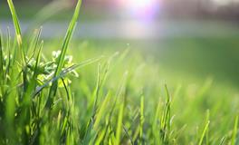 梦见棺材里躺着亲人