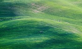 梦到人没死却躺棺材里