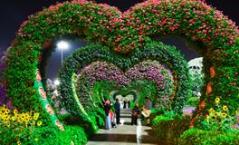 梦见棺材里躺着死人又活了