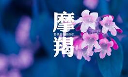 摩羯座男生偷偷喜欢你的表现