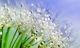 梦见别人掉水里