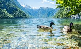 梦到特别脏的水