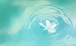 梦见家里来了好多人