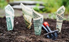 梦见有人偷我钱