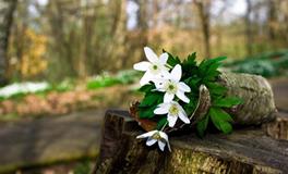 Eskey天秤座一周运势（8.27-9.2）