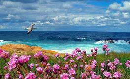 Eskey双鱼座一周运势（8.27-9.2）