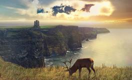 属牛白羊座女生性格