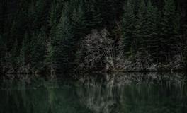 做梦梦到人死了