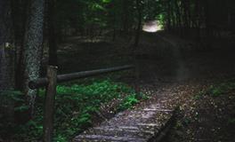 梦见自己两口子打架