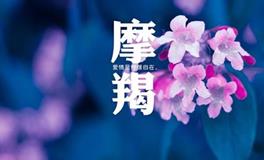 摩羯座恋爱后是什么感觉