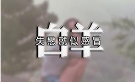 白羊女想要男朋友的时刻