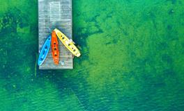 属猪十二星座男生性格特点