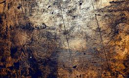 梦见自己拉屎弄手上