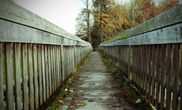 女人梦见满地的大便