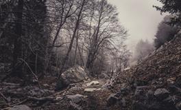 女人梦到别人大便