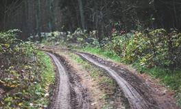 梦到踩到大便是什么意思