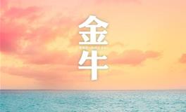 金牛女在感情中的需求