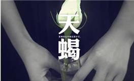 天蝎女在感情中的需求