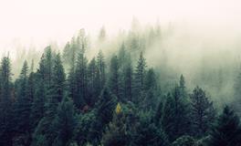 梦见和别人一起拉屎