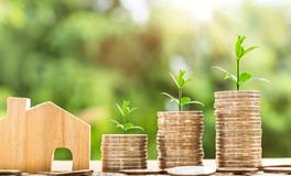 五鬼运财法会产生什么副作用