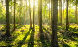 梦到屎掉在头上