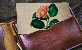 属龙买钱包适合什么颜色