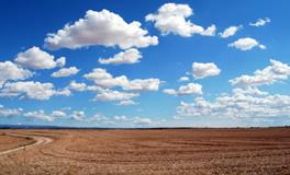 梦见地震但是人安全