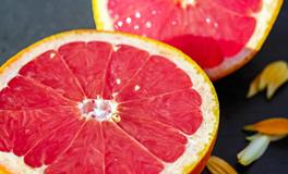 女人梦见熊是什么意思