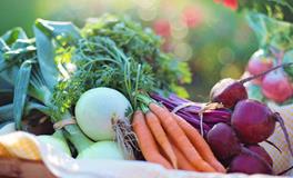 梦见和亲戚一起吃饭是什么意思