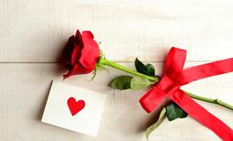 属狗人的吉祥物与不吉物