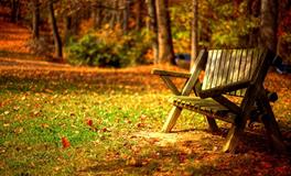 苏珊米勒今日运势2018年9月9日