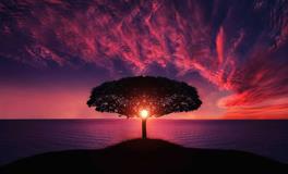 梦到抓了好多鱼