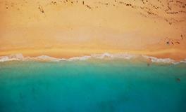 梦见特别大的鱼