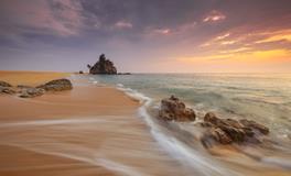 梦见捉了很多鱼